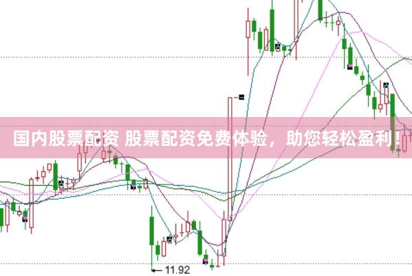 国内股票配资 股票配资免费体验，助您轻松盈利！
