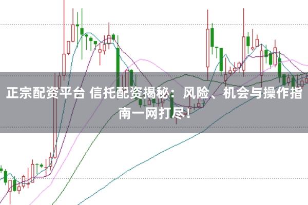 正宗配资平台 信托配资揭秘：风险、机会与操作指南一网打尽！