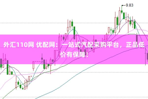 外汇110网 优配网：一站式汽配采购平台，正品低价有保障！