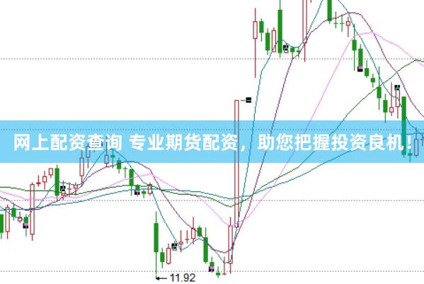 网上配资查询 专业期货配资，助您把握投资良机！