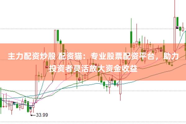 主力配资炒股 配资猫：专业股票配资平台，助力投资者灵活放大资金收益