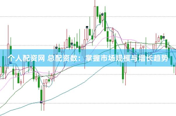 个人配资网 总配资数：掌握市场规模与增长趋势