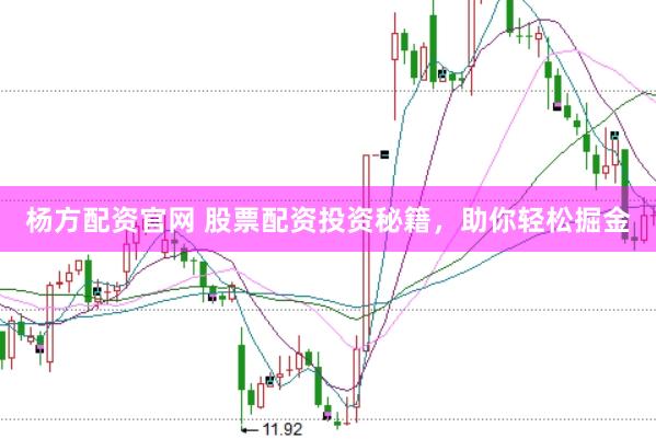 杨方配资官网 股票配资投资秘籍，助你轻松掘金