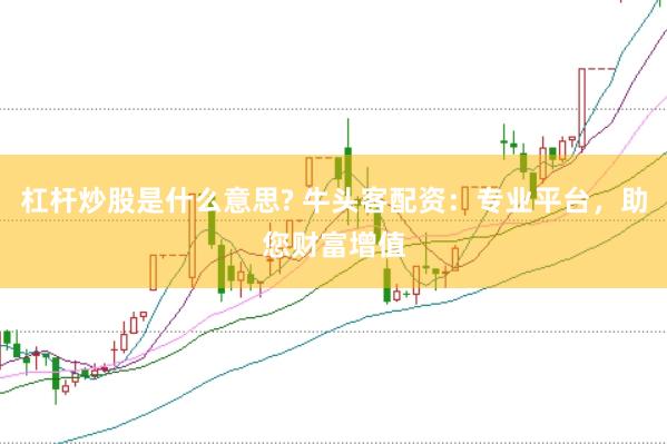 杠杆炒股是什么意思? 牛头客配资：专业平台，助您财富增值