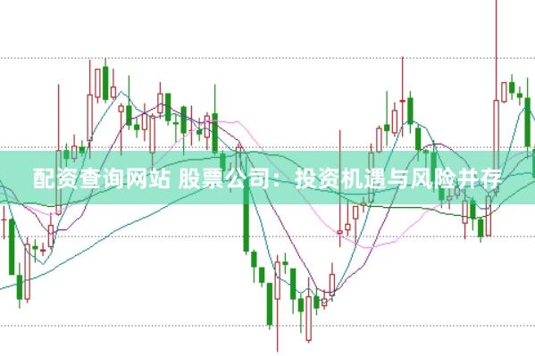 配资查询网站 股票公司：投资机遇与风险并存