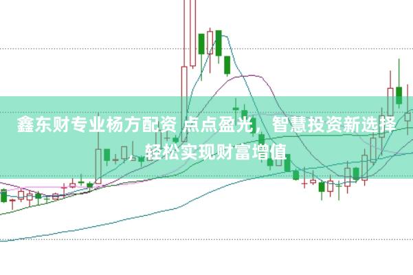 鑫东财专业杨方配资 点点盈光，智慧投资新选择，轻松实现财富增值