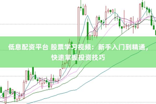 低息配资平台 股票学习视频：新手入门到精通，快速掌握投资技巧