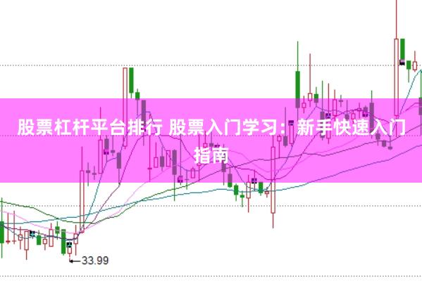 股票杠杆平台排行 股票入门学习：新手快速入门指南