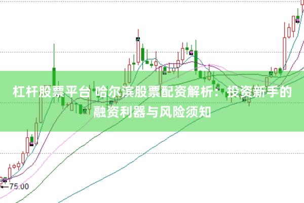 杠杆股票平台 哈尔滨股票配资解析：投资新手的融资利器与风险须知