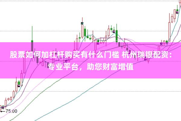 股票如何加杠杆购买有什么门槛 杭州瑞银配资：专业平台，助您财富增值