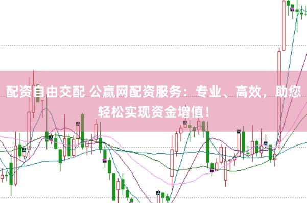 配资自由交配 公赢网配资服务：专业、高效，助您轻松实现资金增值！