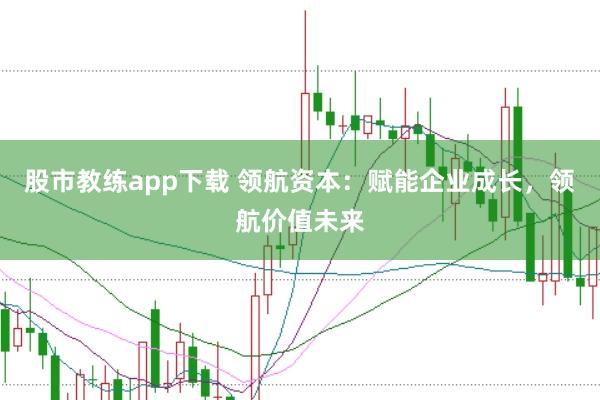 股市教练app下载 领航资本：赋能企业成长，领航价值未来