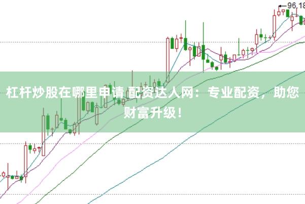 杠杆炒股在哪里申请 配资达人网：专业配资，助您财富升级！