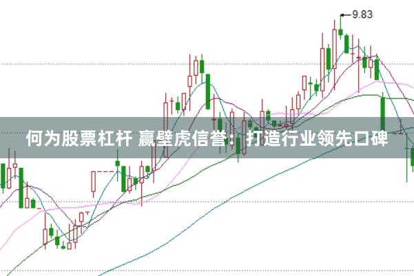 何为股票杠杆 赢壁虎信誉：打造行业领先口碑