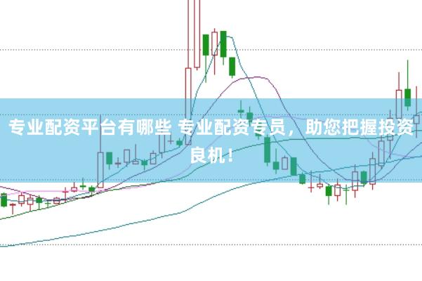 专业配资平台有哪些 专业配资专员,助您把握投资良机!