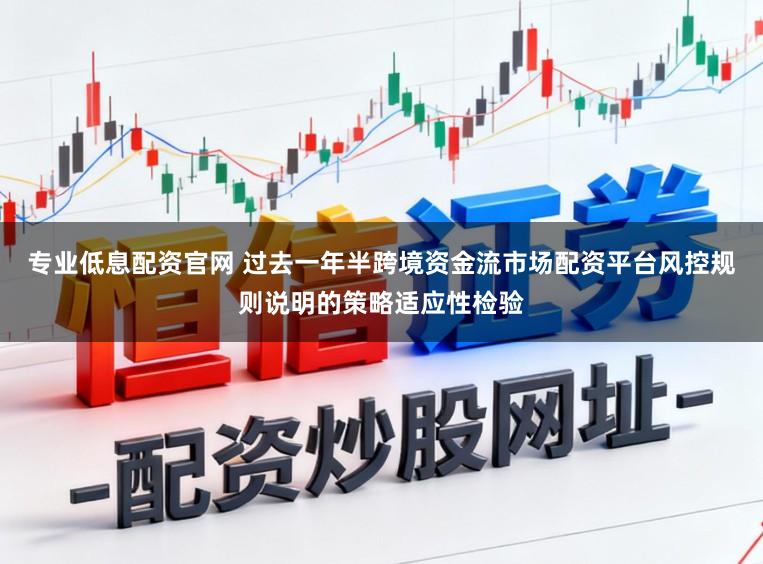 专业低息配资官网 过去一年半跨境资金流市场配资平台风控规则说明的策略适应性检验
