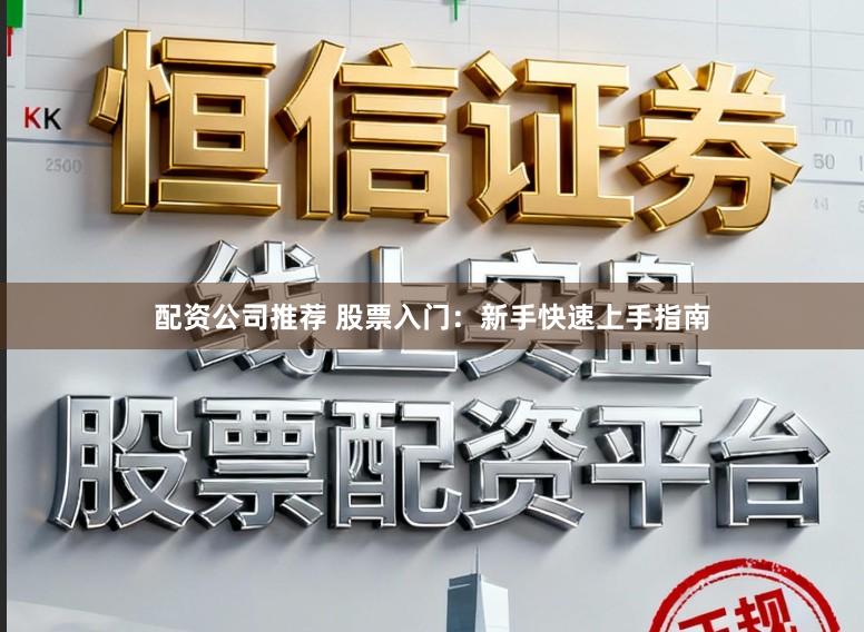 配资公司推荐 股票入门：新手快速上手指南