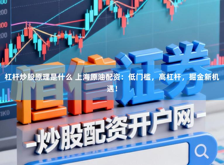 杠杆炒股原理是什么 上海原油配资：低门槛，高杠杆，掘金新机遇！